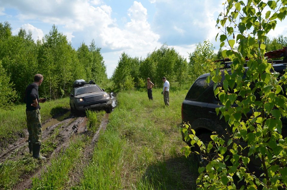 ,, Муха, , тоже сидит :) — KIA Sportage (3G)