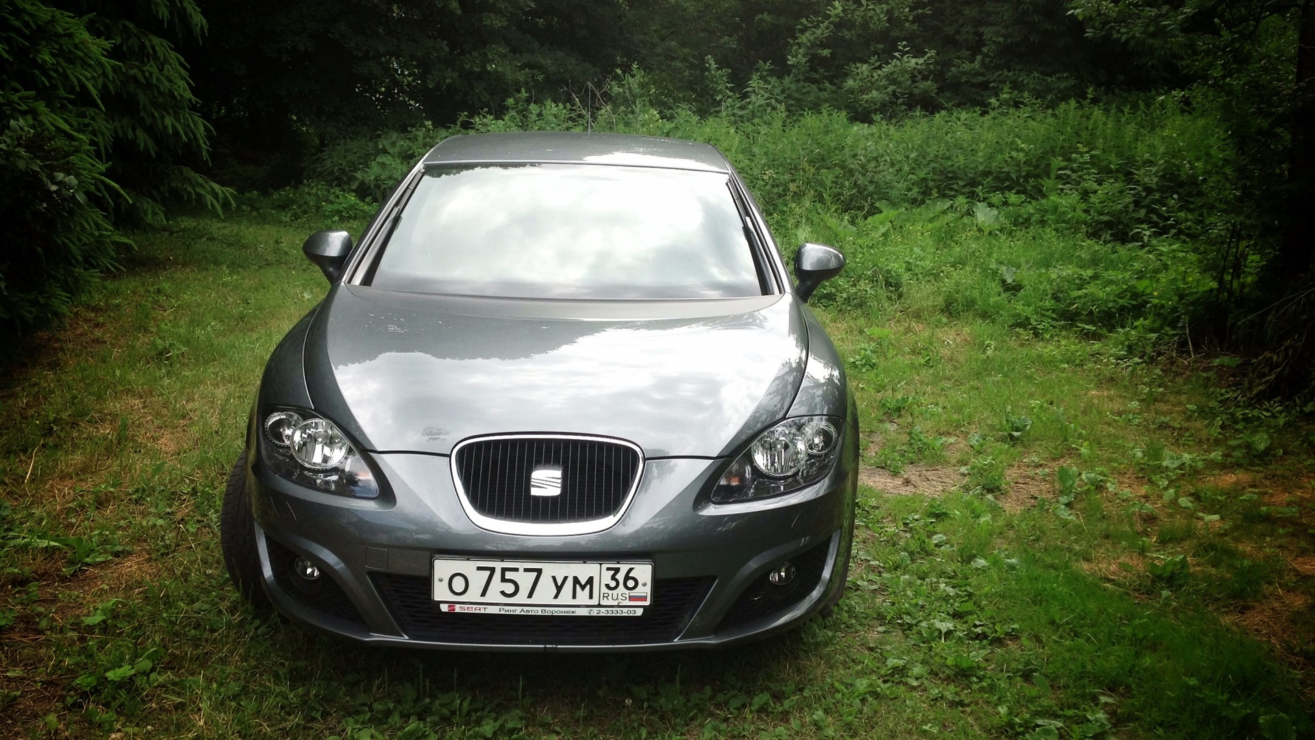 SEAT Leon (Mk II) 1.2 бензиновый 2012 | Пиренейский Лев на DRIVE2