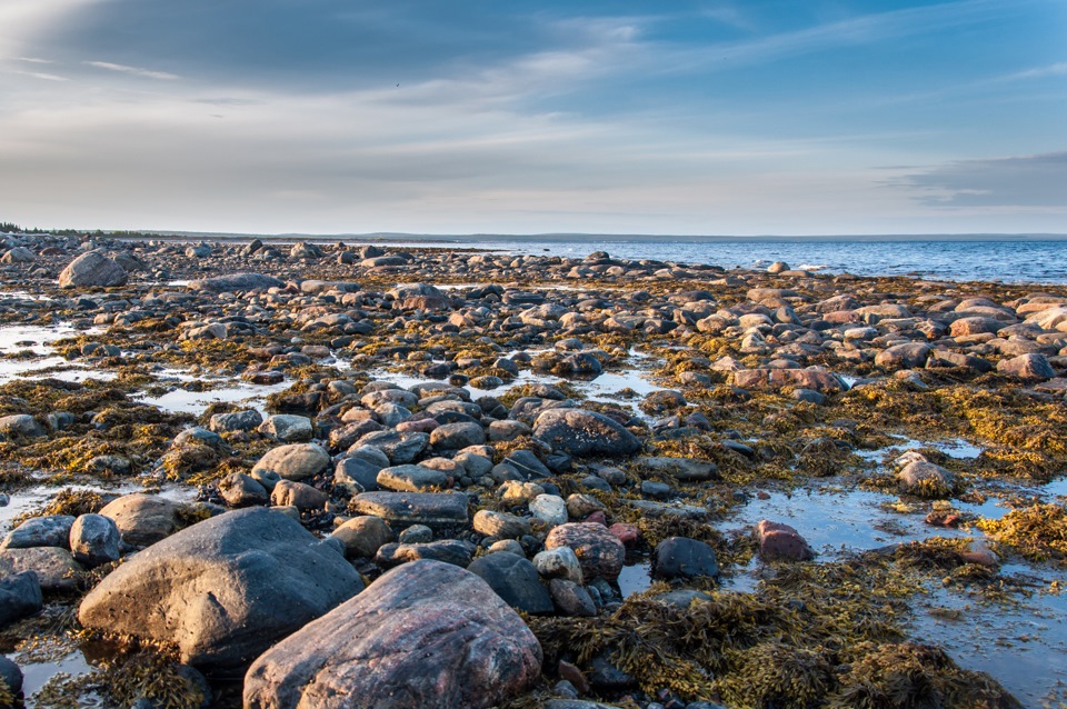 Песня белое море. Терский берег белого моря. Терский берег белого моря фото. Морской Бриз Терский берег. Терский берег белого моря с высоты птичьего полета.