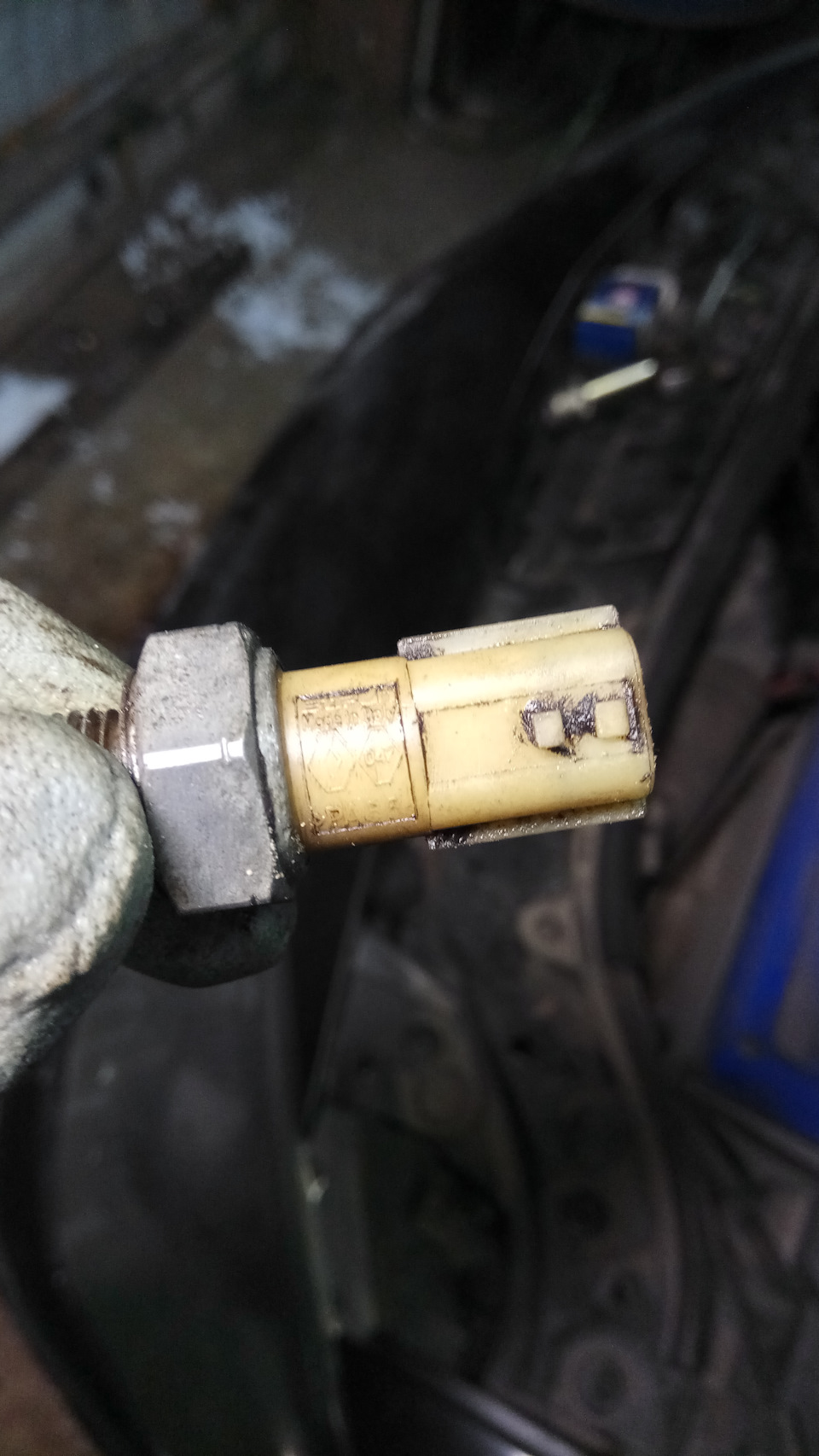 Где находится датчик давления меган 2 Замена масла +Датчик давления(OIL PRESSURE FAULT) - Renault Megane II, 1,6 л, 20