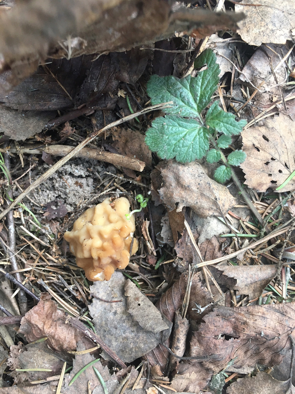 Фото в бортжурнале Nissan Note (1G)