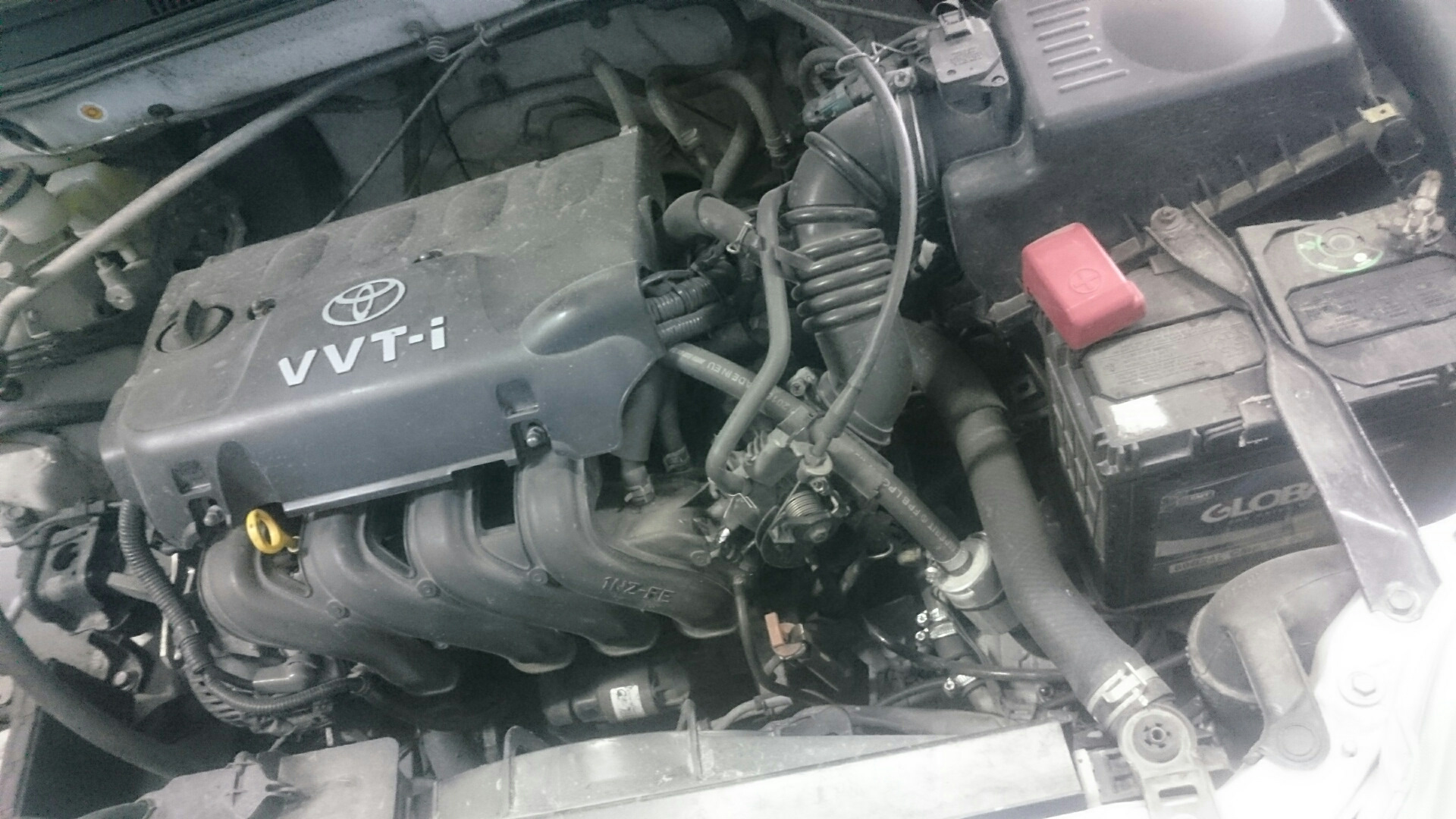 Газ на Toyota Corolla (Тойота Королла) 2008 г.в., 1,6 л., 124 л.с., ГБО Альфа S,