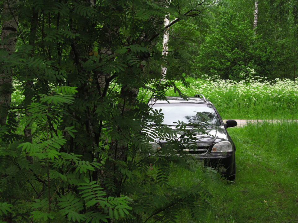 Заскрипела педаль сцепления — Chevrolet Lacetti SW, 1,6 л, 2006 года ...