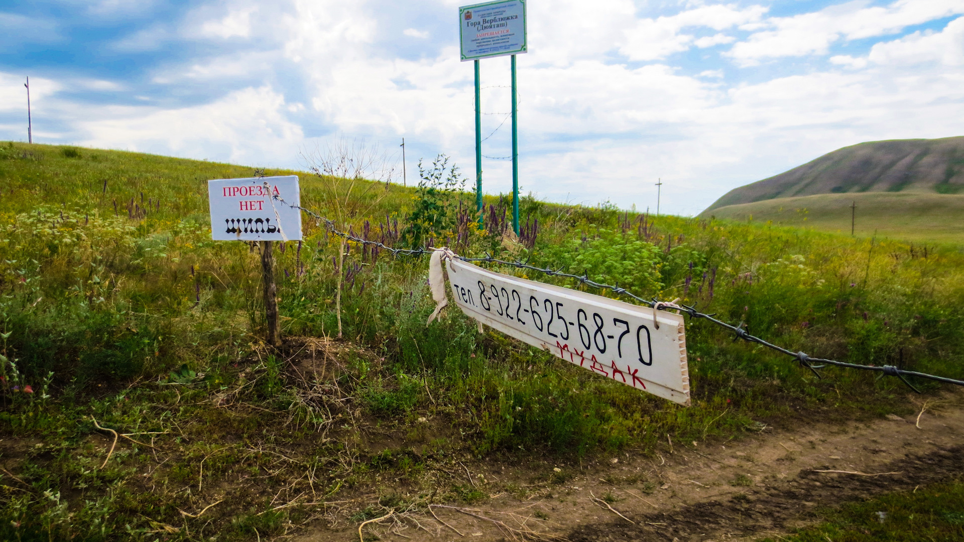 Гора Верблюжка Самара