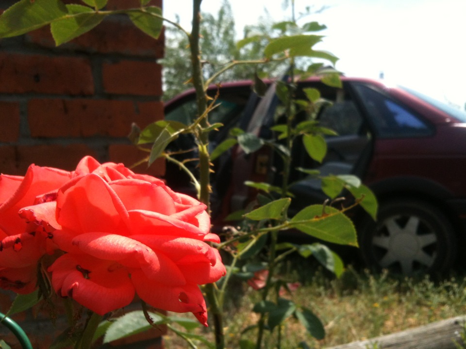 Заглушить мотор, послушать жуЖЖЖЖЖание — "Активатор двери" — Volkswagen ...