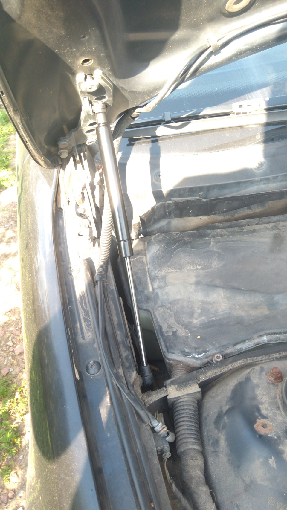 Фото в бортжурнале BMW 5 series (E39)