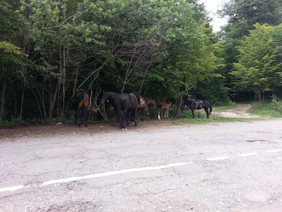 Мурманск -Лобна- Мелитопаль — Кирилловка — Майкоп- Лаго-Наки-Мурманск ...