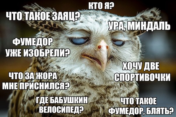 Мем только проснулся