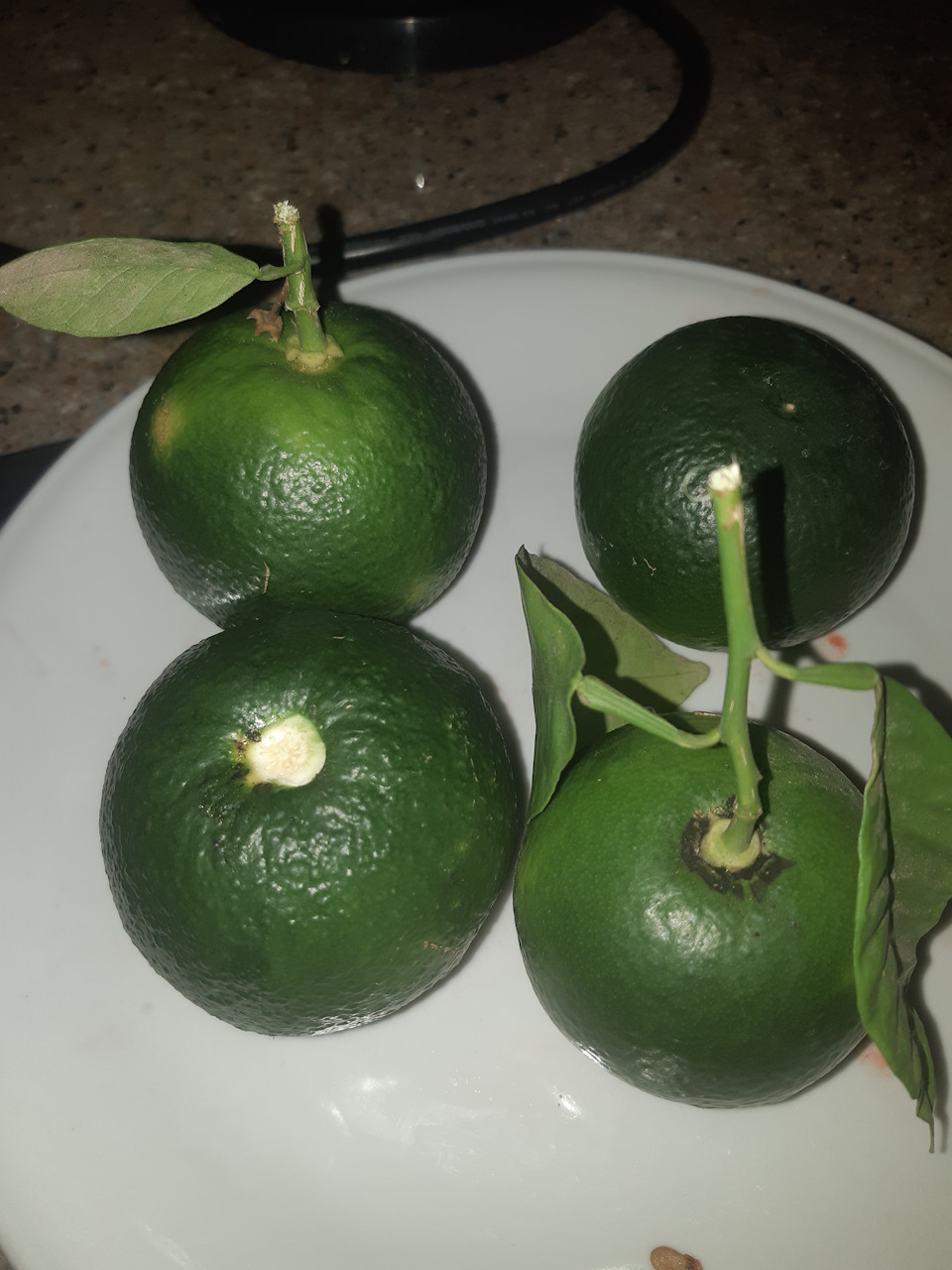 Подшипники вместо роликов в направляющюю двери. — Mazda MPV II, 2,3 л ...