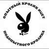 Типы сабвуферов для авто