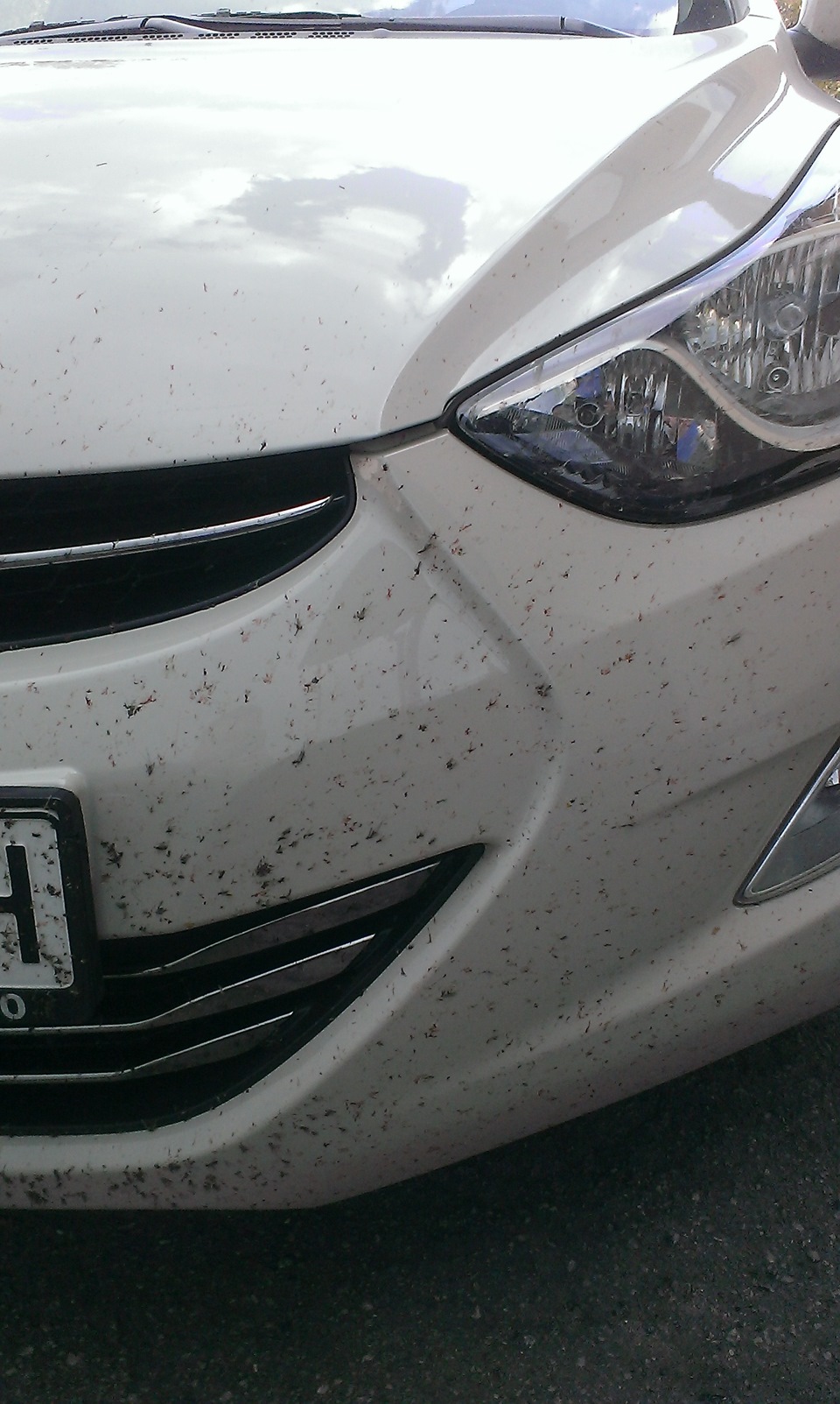 убийца комаров :) — Hyundai Elantra (5G), 1,8 л, 2012 года ...