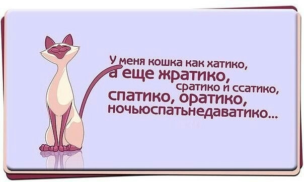 Цитаты про котиков