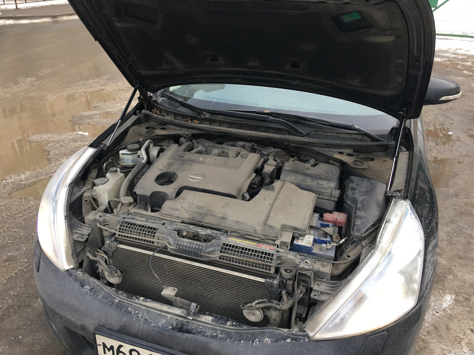 Упоры капота — Nissan Teana (J32), 2,5 л, 2011 года | аксессуары | DRIVE2