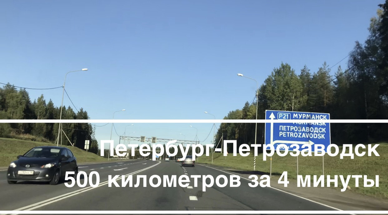 Как называется цветок с длинными колючими листьями фото Как называется цветок с длинными колючими листьями фото