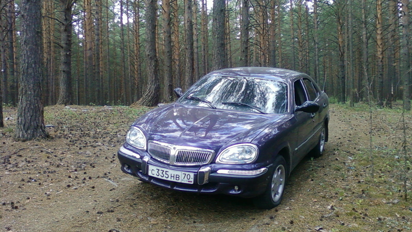 ГАЗ 3111 2.5 бензиновый 2001 | 113 