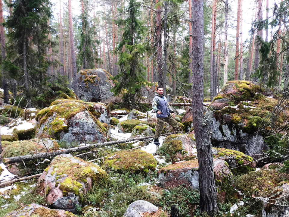 Карелия в мае фото