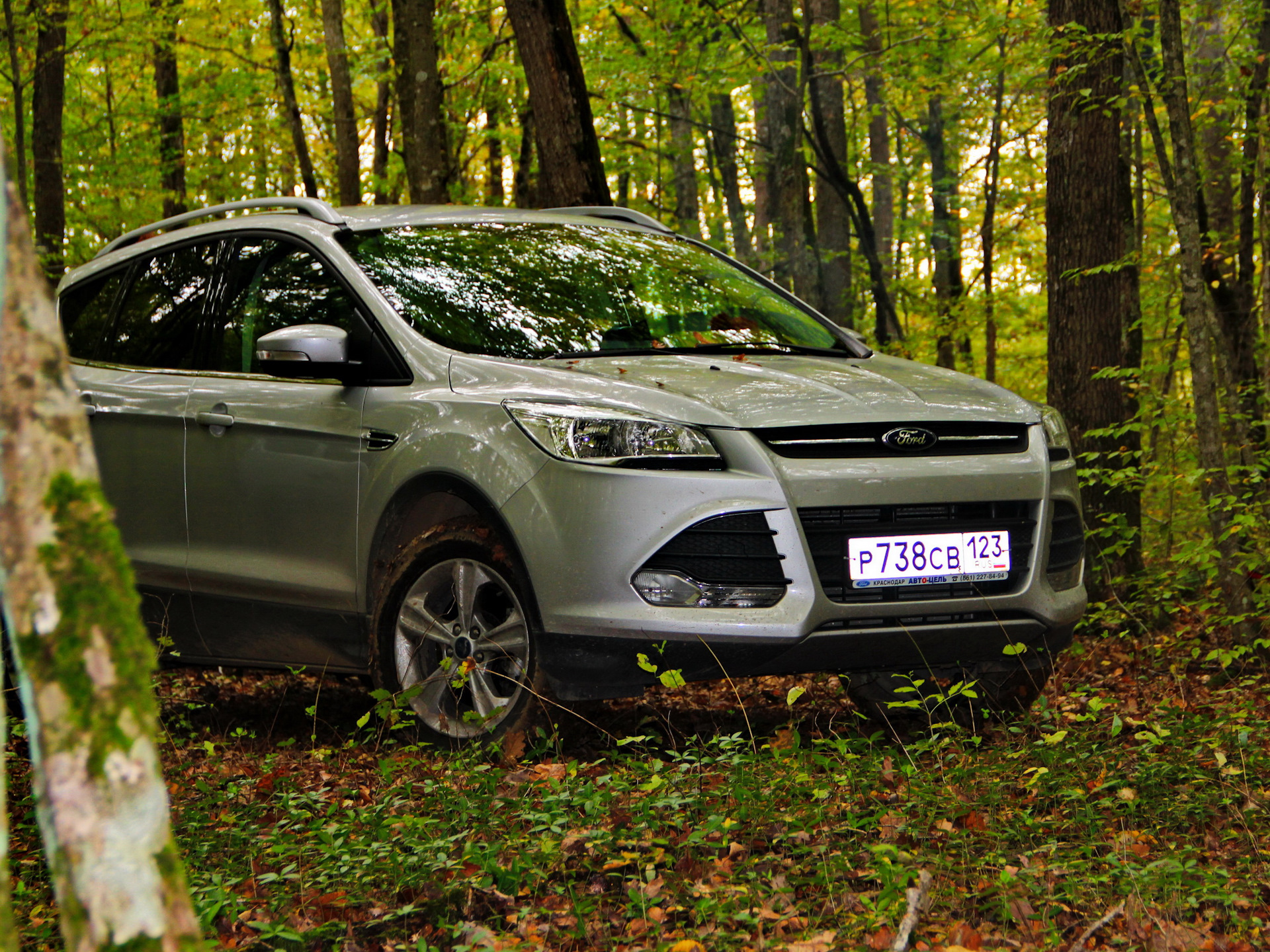 KUGA на лесных дорогах. Мое бездорожье (видео) — Ford Kuga (2G), 1,6 л,  2013 года | покатушки | DRIVE2