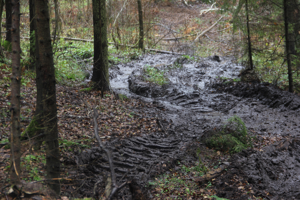 За что посадили блоггера герасима шерпа. Смотреть фото За что посадили блоггера герасима шерпа. Смотреть картинку За что посадили блоггера герасима шерпа. Картинка про За что посадили блоггера герасима шерпа. Фото За что посадили блоггера герасима шерпа За что посадили блоггера герасима шерпа. Смотреть фото За что посадили блоггера герасима шерпа. Смотреть картинку За что посадили блоггера герасима шерпа. Картинка про За что посадили блоггера герасима шерпа. Фото За что посадили блоггера герасима шерпа