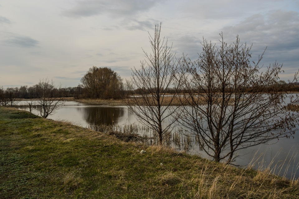 красота воды родного края рассказ 2 класс