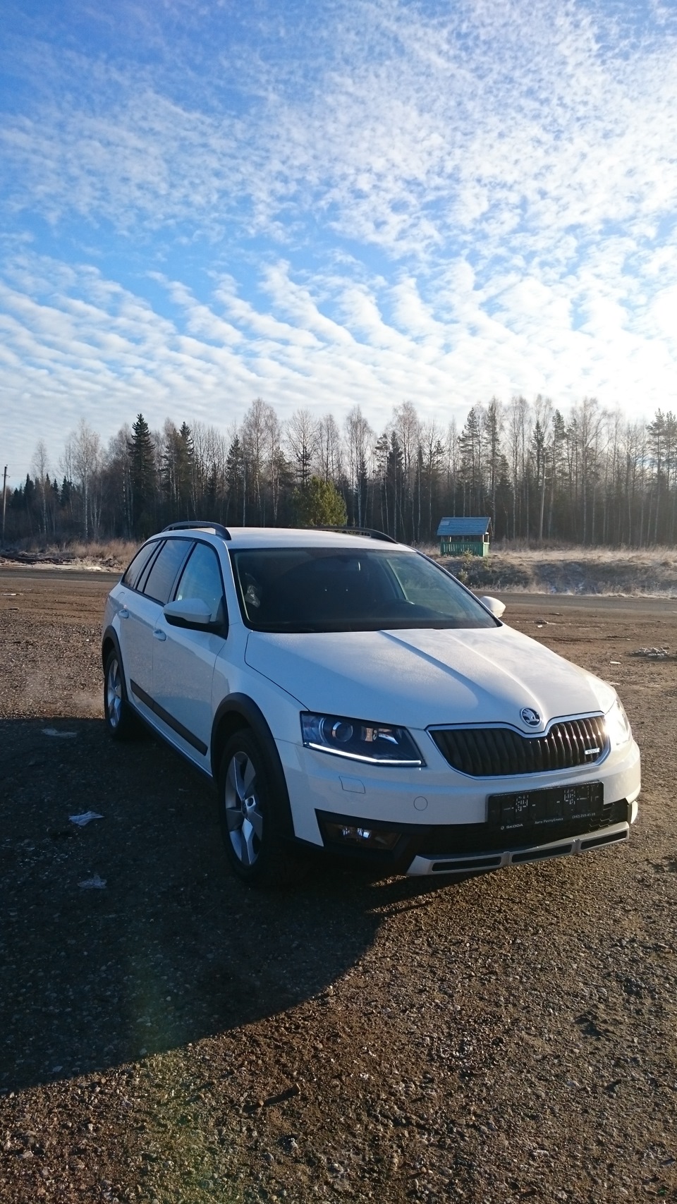 Skoda Octavia Scout mk3