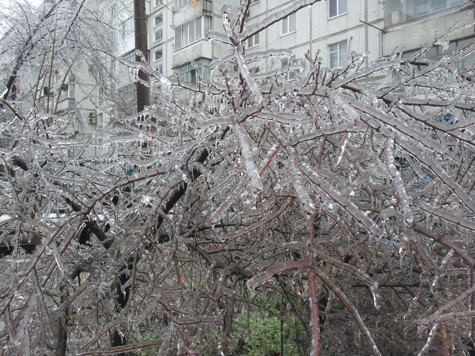 Осадки сегодня. Ледяной дождь в Москве 2010. Ледяной дождь в Подмосковье в 2010. Ледяной дождь в России 2010 год. Ледяной дождь 2010 +Сокольники.