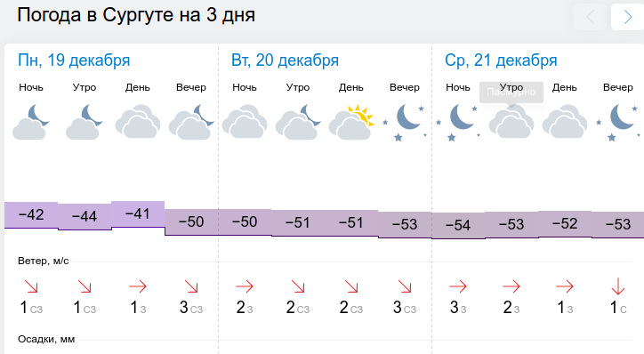 Гисметео сердобск на 14 дней. Погода в Нижневартовске. Погода в Сургуте. Погода в Нижневартовске на 10 дней. Климат Сургута по месяцам.