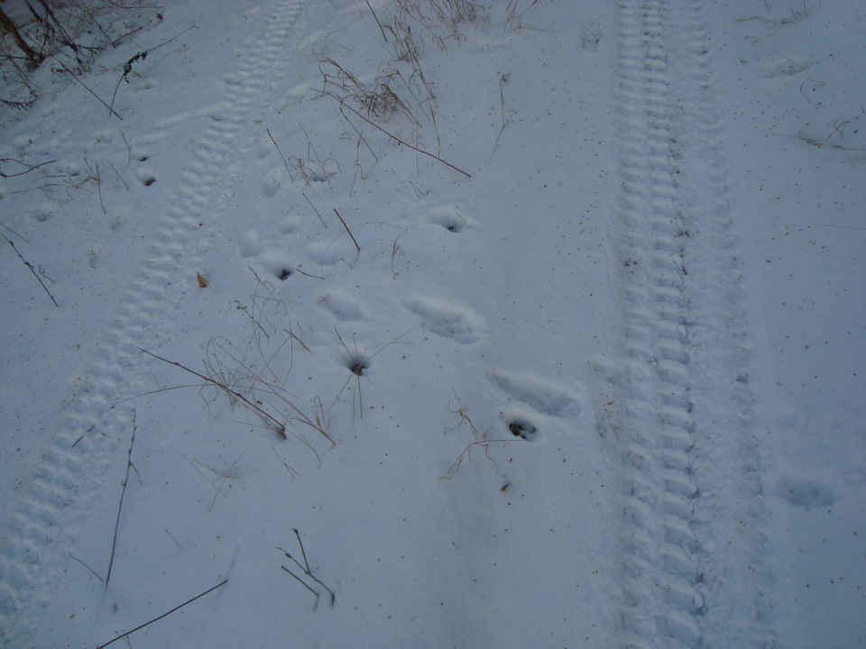 Фото в бортжурнале УАЗ 315195 Hunter