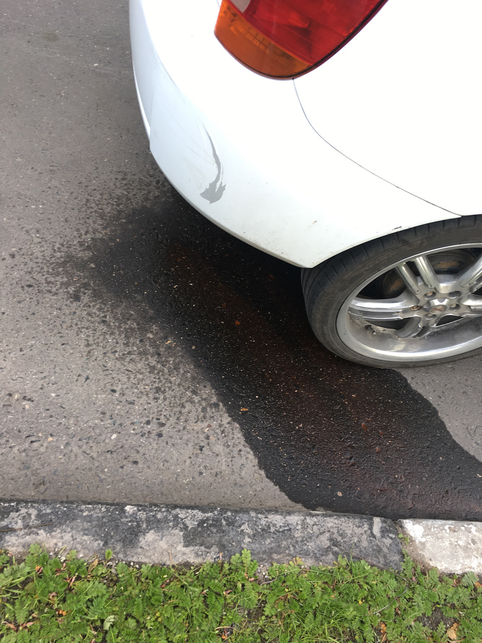 маленькие целочки Целочка потекла) — Toyota Celica (230), 1,8 л, 2000 года | наблюдение |  DRIVE2