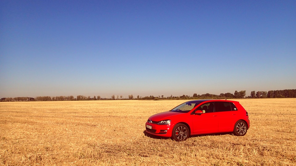 На лугу пасутся VW — Сообщество «Фотография» на DRIVE2