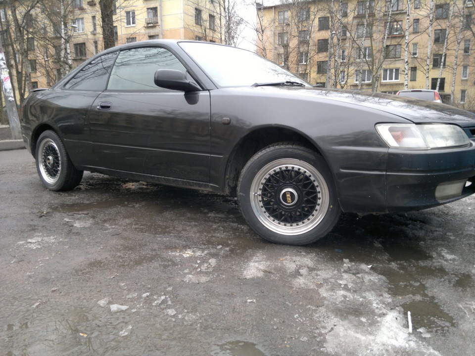 mitya gt mitya gt