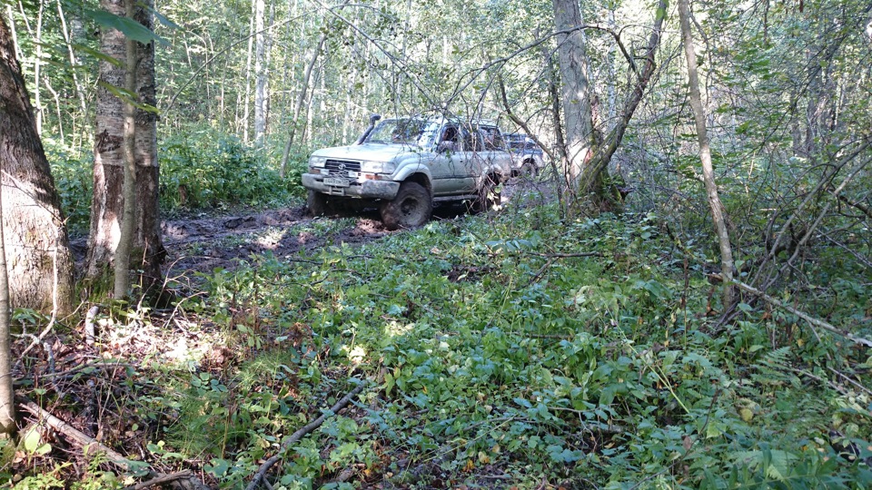 Фото в бортжурнале Toyota Land Cruiser 80