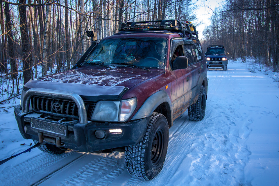 Кошка за жучку, жучка за внучку, внучка за бабку, бабка за дедку, дедка за репку, а спасли всех мышки Прадики) — Toyota Land Cruiser Prado 90-series