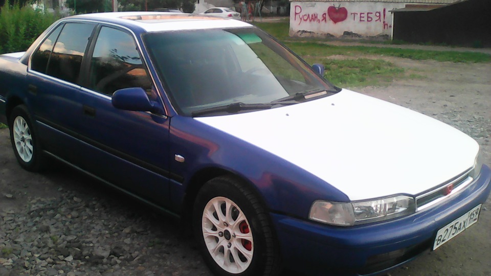 Honda Accord Шустрик