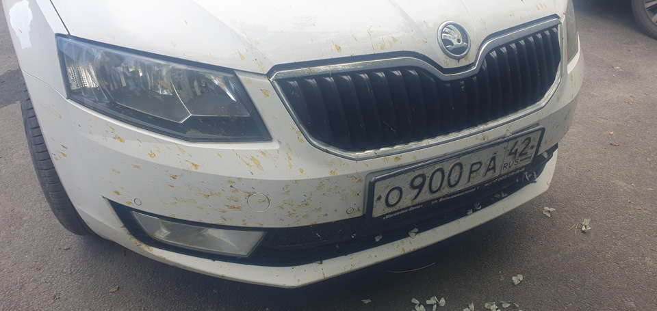 Замена антифриза. — Skoda Octavia A7 Mk3, 1,6 л, 2015 года | визит на ...