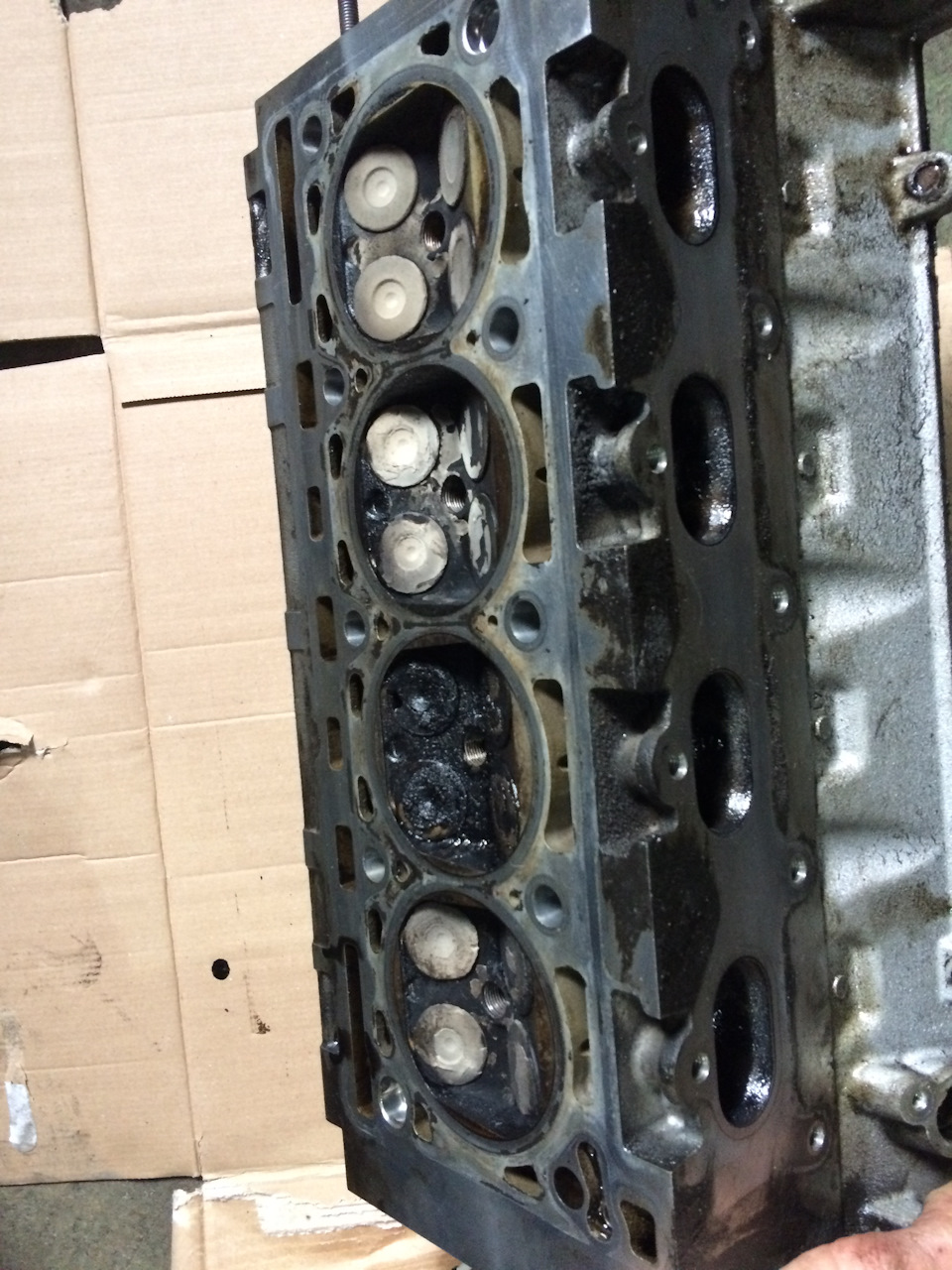 Фото в бортжурнале Renault Duster (1G)