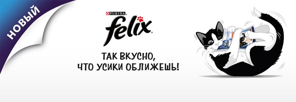 Феликс и кот