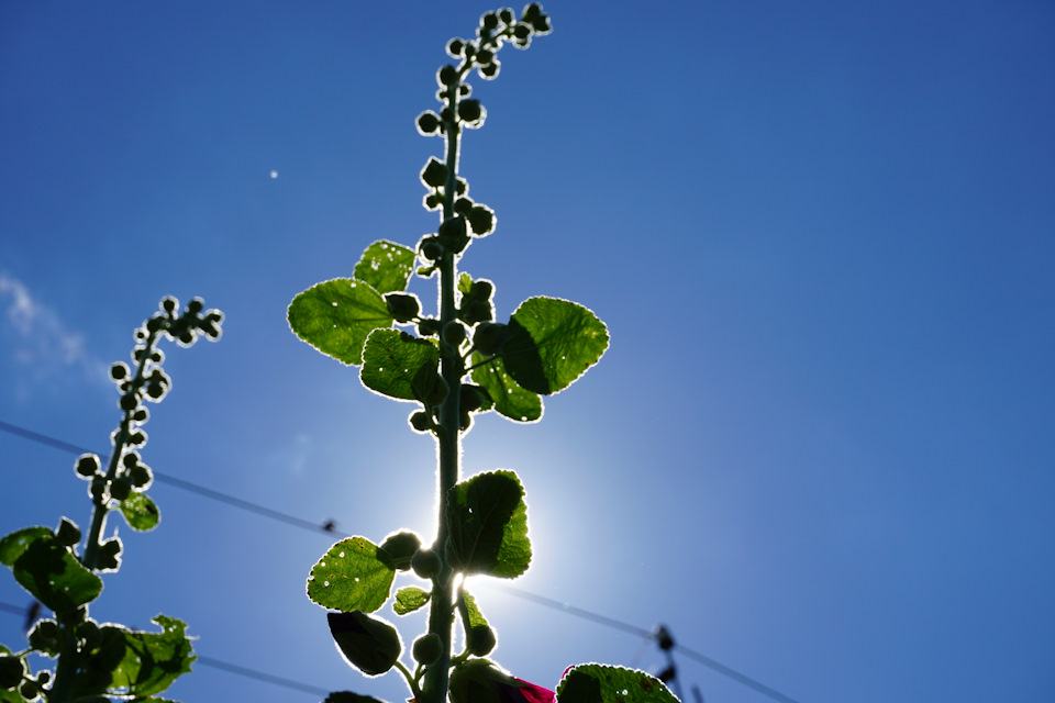 Фото в бортжурнале Nissan Murano II