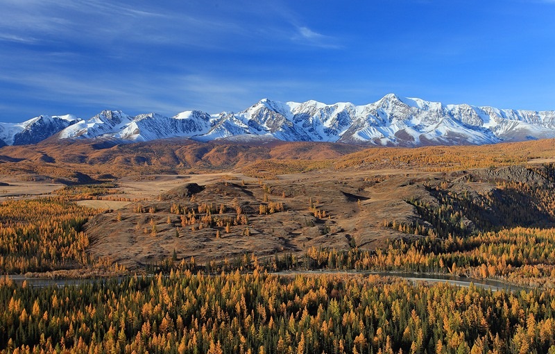 Кош агач горный алтай фото