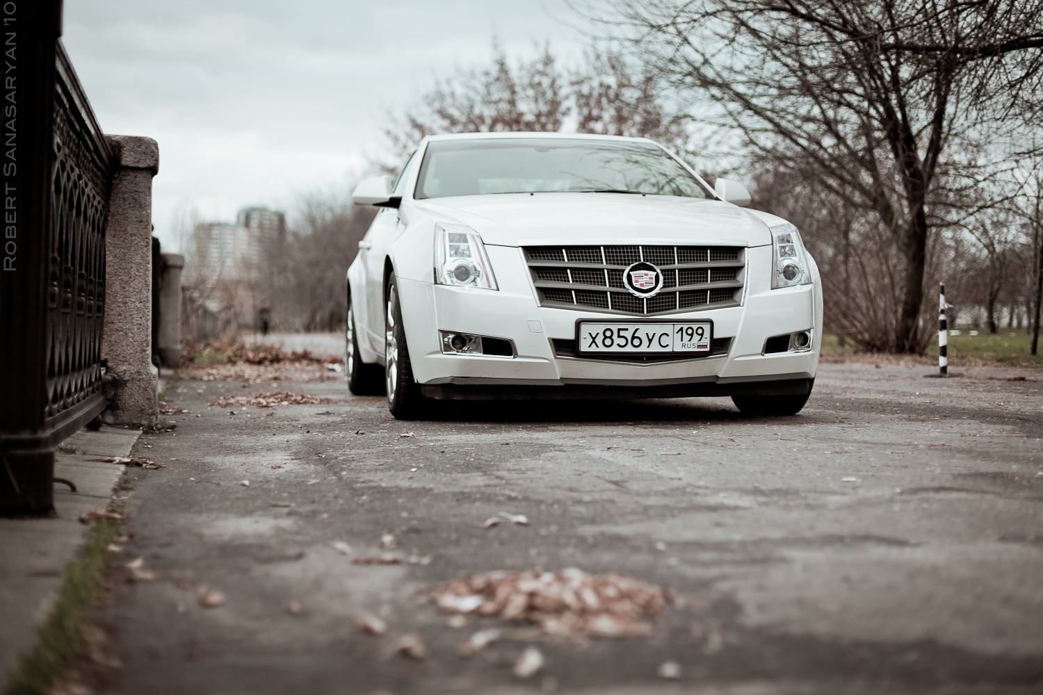 Беленький 6. Cadillac CTS 3.6. Cadillac CTS 3 поколение тюнинг. Фото в Кадиллаке лабрадор.