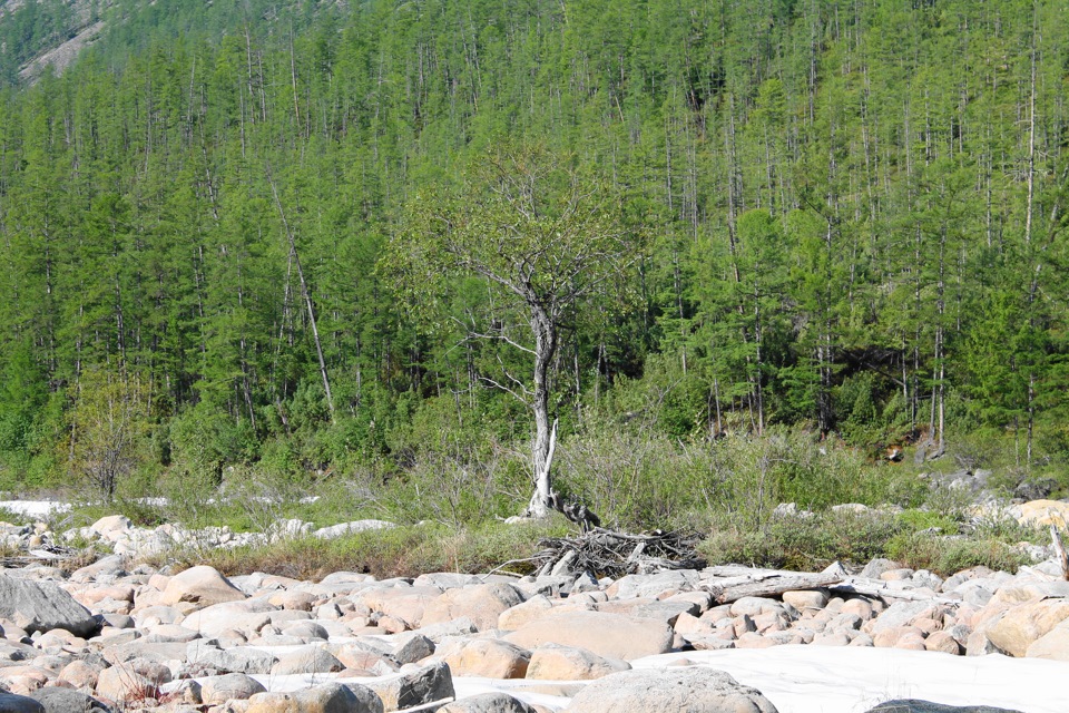 Walk through the taiga rivers1 part