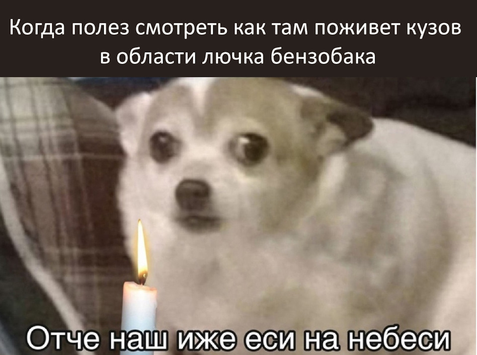 Чему мы научились у собак мем С замираем сердца (ревизия лючка бензобака) - Subaru Forester (SG), 2 л, 2005 го