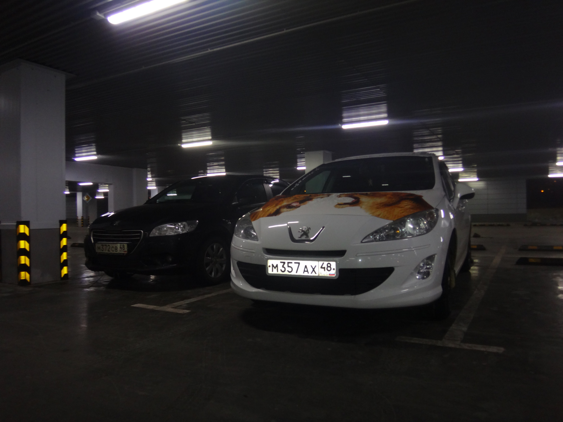 отчет о плановой клубной встречи 26.11.17 Липецк — Сообщество ...