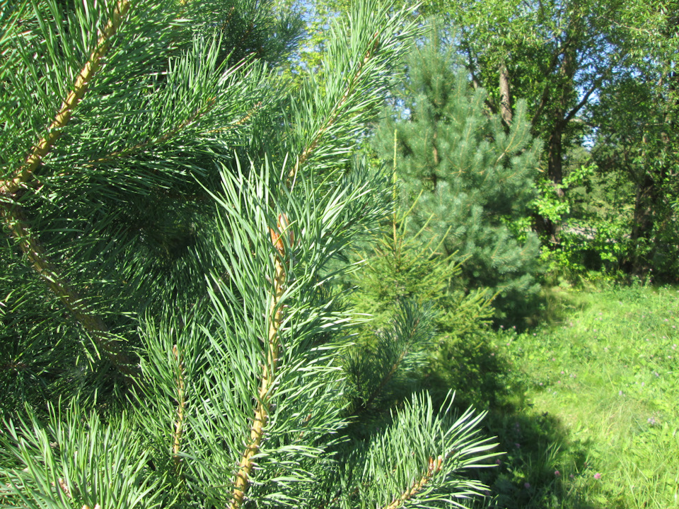 Фото в бортжурнале УАЗ 315195 Hunter