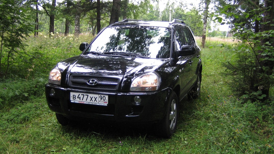 Л 2006