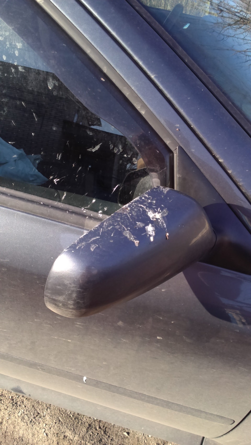 Нападение ощень страшнама птис.) — Сообщество «ПозитивовOзы» на DRIVE2