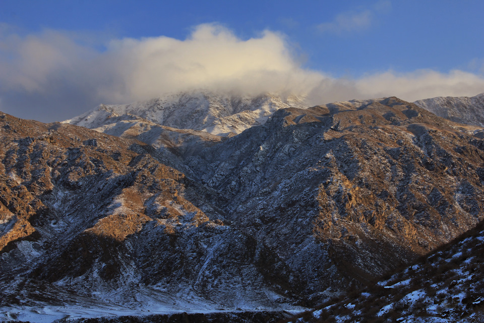 Фото в бортжурнале Nissan X-Trail III (t32)