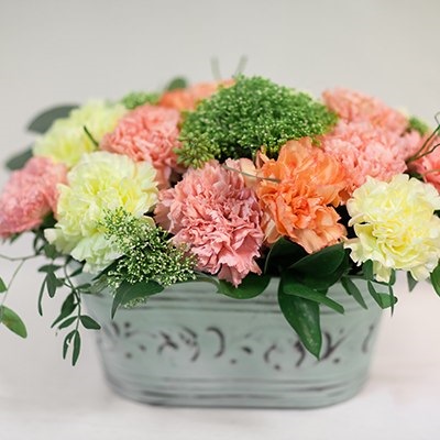 Фото в бортжурнале Subaru Forester (SG)