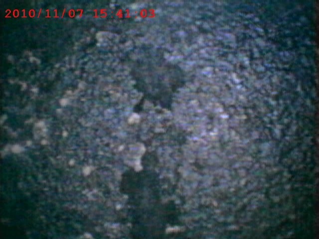 аи 140 есть ли такой бензин. Смотреть фото аи 140 есть ли такой бензин. Смотреть картинку аи 140 есть ли такой бензин. Картинка про аи 140 есть ли такой бензин. Фото аи 140 есть ли такой бензин аи 140 есть ли такой бензин. Смотреть фото аи 140 есть ли такой бензин. Смотреть картинку аи 140 есть ли такой бензин. Картинка про аи 140 есть ли такой бензин. Фото аи 140 есть ли такой бензин