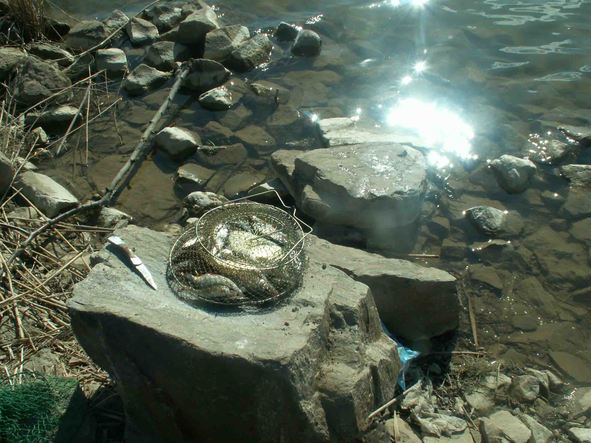 какая рыба водится в волгодонском канале. Смотреть фото какая рыба водится в волгодонском канале. Смотреть картинку какая рыба водится в волгодонском канале. Картинка про какая рыба водится в волгодонском канале. Фото какая рыба водится в волгодонском канале