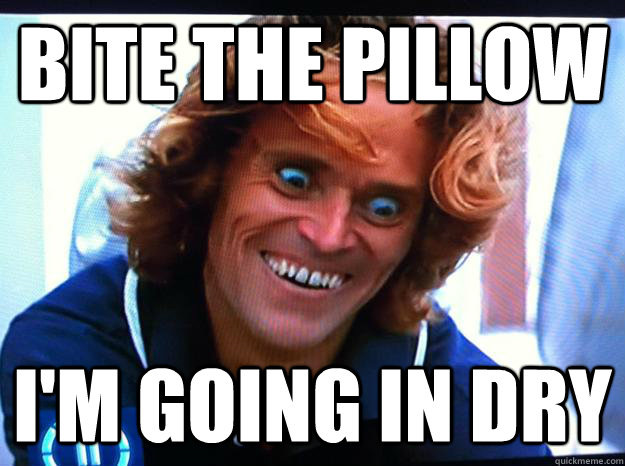 Bite The Pillow I'm Going In Dry